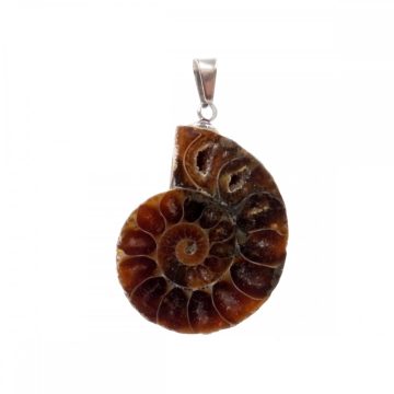 Ammonitesz fosszilia medál